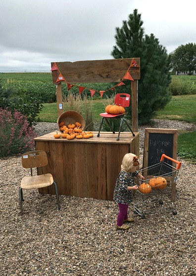 baby-girl-fall-pumpkins