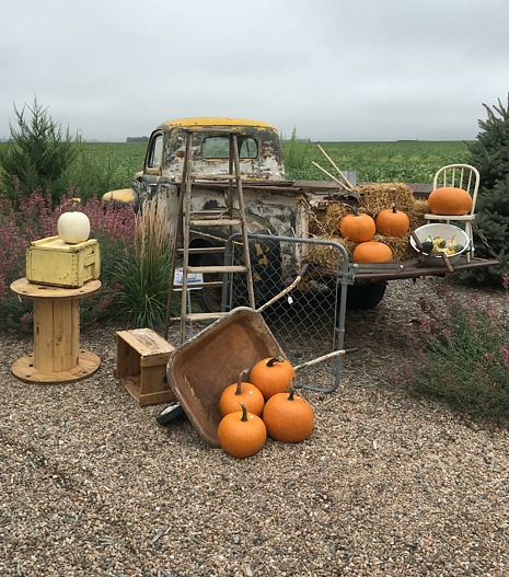 fall-farm-truck-and-pumpkins